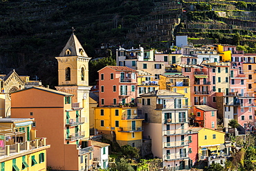 Church and traditional houses of Manarola, Cinque Terre, UNESCO World Heritage Site, Liguria, Italy, Europe