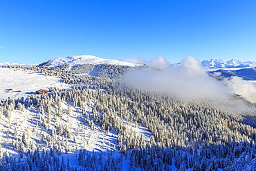 Erbe Pass and the forest on the side of the Gardena Valley after a snowfall, Funes Valley, Sudtirol (South Tyrol), Dolomites, Italy, Europe