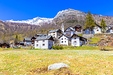 Spring at the village of Bosco Gurin, Vallemaggia, Canton of Ticino, Switzerland, Europe