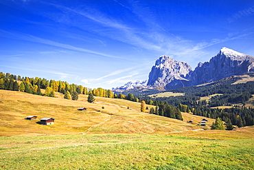 Autumn color at Seiser Alm, Dolomites, province of Bolzano, South Tirol, Italy, Europe