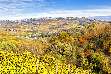 Village of Diano d'Alba in autumn, Barolo wine region, Langhe, Piedmont, Italy, Europe