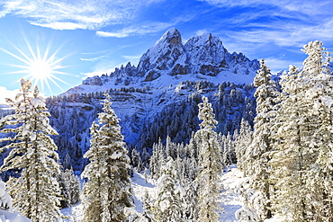 Sass de Putia and forest after a snowfall, Funes Valley, Sudtirol (South Tyrol), Dolomites, Italy, Europe