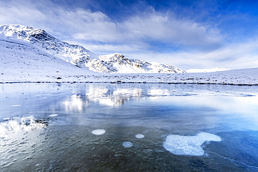 Ice bubbles on the icy surface of an alpine lake, Stelvio Pass, Valtellina, Lombardy, Italy, Europe