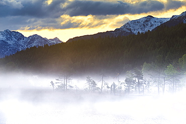 Foggy sunrise at the pond in the Pian di Gembro reserve, Pian di Gembro, Valtellina, Lombardy, Italy, Europe