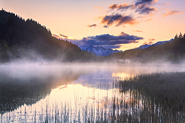 Foggy sunrise at the pond in the Pian di Gembro reserve, Pian di Gembro, Valtellina, Lombardy, Italy, Europe