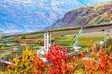 Rural church in the vineyards and apple orchards, Valtellina, Lombardy, Italy, Europe