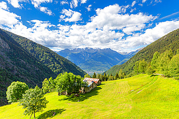 Lonely traditional hut in a wild alpine valley, Val d'Arigna, Orobie, Valtellina, Lombardy, Italy, Europe