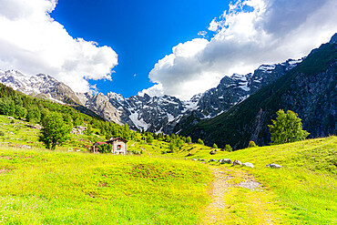 Lonely traditional hut in a wild alpine valley, Val d'Arigna, Orobie, Valtellina, Lombardy, Italy, Europe