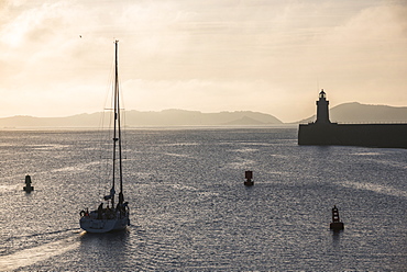 Sailing boat heading out of St. Peter Port Harbour at sunrise, Guernsey, Channel Islands, United Kingdom, Europe