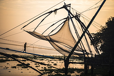 Traditional Chinese fishing nets at sunrise, Fort Kochi (Cochin), Kerala, India, Asia