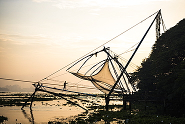 Traditional Chinese fishing nets at sunrise, Fort Kochi (Cochin), Kerala, India, Asia