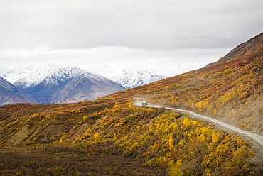 Camper buses driving into the heart of Denali National Park, Alaska, United States of America, North America