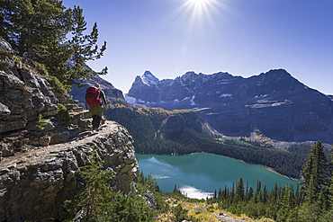 Hiker walking on the Alpine circuit trail, Lake O'Hara, Yoho National Park, UNESCO World Heritage Site, Canadian Rockies, Alberta, Canada, North America