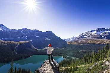 Hiker looking at the view of Alpine mountains and Lake O'Hara from the Alpine circuit trail, Yoho National Park, UNESCO World Heritage Site, Canadian Rockies, British Columbia, Canada, North America