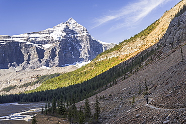 Hiking in the Mount Robson Provincial Park, UNESCO World Heritage Site, with a view of the Whitehorn Mountain, Canadian Rockies, British Columbia, Canada, North America