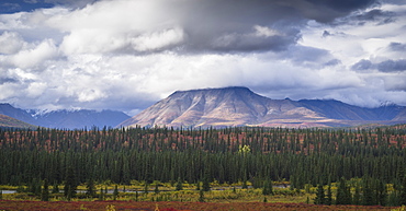 Mountain and forest landscape in Denali National Park, Alaska, United States of America, North America