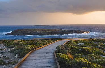 Board walk towards the Admirals Arch in the Flinders Chase National Park, Kangaroo Island, South Australia, Australia, Pacific