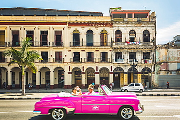 A pink American classic car next to El Capitolio in Havana, La Habana (Havana), Cuba, West Indies, Caribbean, Central America