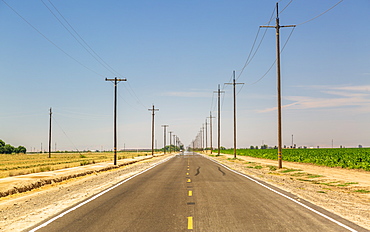 Highway and electricity poles, California, United States of America, North America