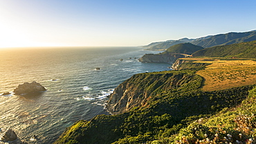 The Pacific coast in Pfeiffer Big Sur State Park between Los Angeles and San Francisco, California, United States of America, North America