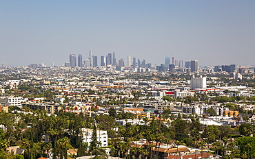 View of Downtown skyline from Hollywood Hills, Los Angeles, California, United States of America, North America