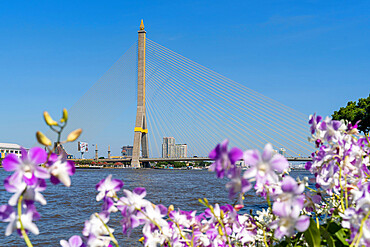 Rama VIII Bridge from Santi Chai Prakan Public Park, Bangkok, Thailand, Southeast Asia, Asia