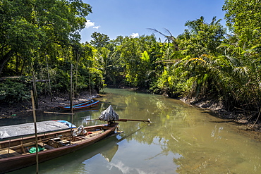 Tha Pom Klong Song Nam National Park, Krabi Province, Thailand, Southeast Asia, Asia