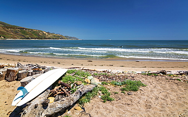 Pacific Coast, California, United States of America, North America