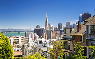 Street view of Transamerica Pyramid and Oakland Bay Bridge, San Francisco, California, United States of America, North America