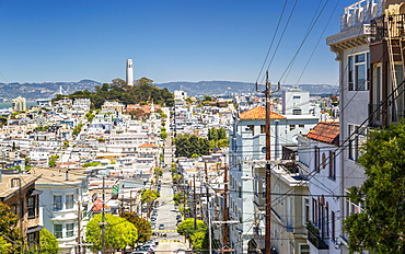 View of Coit Tower from Russian Hill, San Francisco, California, United States of America, North America