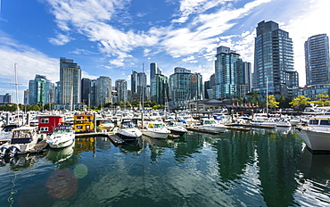 Urban office buildings overlooking Vancouver Harbour near the Convention Centre, Vancouver, British Columbia, Canada, North America