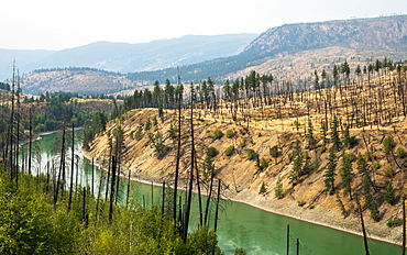 View of barren land following recent fire near Kamloops, British Columbia, Canada, North America