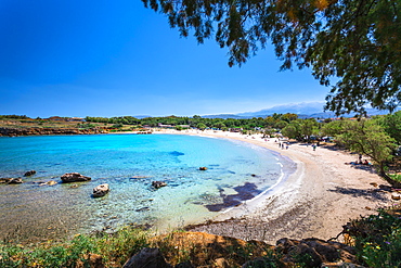 Beach Canteen Iguana, Crete, Greek Islands, Greece, Europe