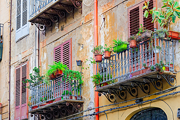 Traditional architecture of houses with iron balconies and flowers, wooden window shutters and slightly decayed facades, Palermo, Sicily, Italy, Mediterranean, Europe