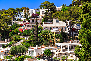 Traditional low-rise hill houses surrounded by greenery in the capital town of Capri Island, Bay of Naples, Campania, Italy, Europe