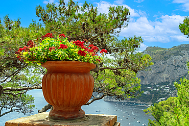 A terracotta pot with vibrant red flowers overlooks a scenic coastal view with boats on the water and rocky cliffs in the background on Capri Island, Bay of Naples, Campania, Italy, Europe