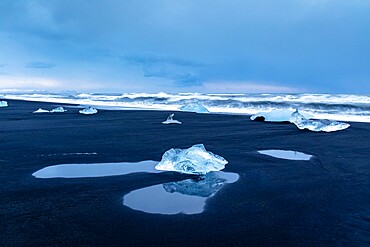 Icebergs from melting glacier on black sand beach near Jokulsarlon glacier lagoon, Vatnajokull National Park, Iceland, Polar Regions