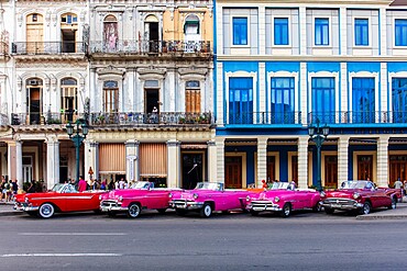 Red and pink vintage American car taxis on street in Havana, Cuba, West Indies, Central America