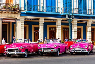 Red and pink vintage American car taxis on street in Havana, Cuba, West Indies, Central America