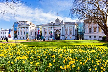 National Maritime Museum on a spring day with blue skies and daffodils, Greenwich, London, England, United Kingdom, Europe