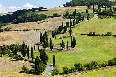 Winding Tuscan road surrounded by fields and Cypress trees, near La Foce, Tuscany, Italy, Europe