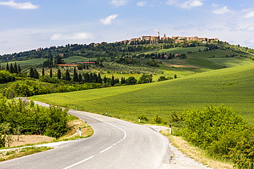 Tuscan road winding through green fields towards Pienza, Tuscany, Italy, Europe