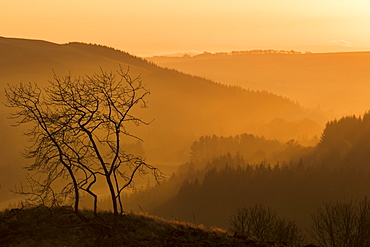 Morning view from the Borders, Scotland, United Kingdom, Europe