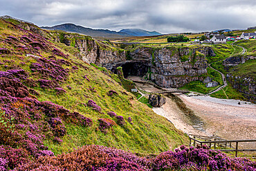 Purple heather on the cliffs above Smoo Cave near Durness which has one of the largest sea cave entrances in Britain, Durness, Highlands, Scotland, United Kingdom, Europe