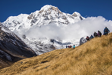 A group of Trekkers approaching Annapurna Base Camp, with Annapurna South looming large in the background, Himalayas, Nepal, Asia