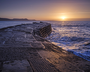 The harbour wall known as The Cobb enjoys a great deal of popularity and looks especially good in the light of dawn, Lyme Regis, Dorset, England, United Kingdom, Europe