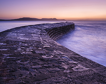 The harbour wall known as The Cobb in Lyme Regis, Dorset, England, United Kingdom, Europe