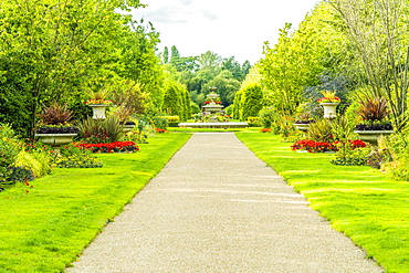 Regents Park in London, England, United Kingdom, Europe