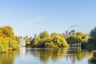 A view of St. James's Park lake and the London Eye in the background in St. James's Park, London, England, United Kingdom, Europe