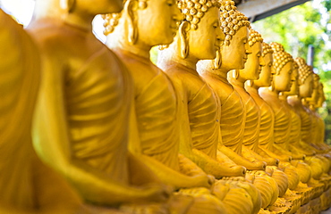 A row of seated Buddhas at the Big Buddha complex (The Great Buddha) in Phuket, Thailand, Southeast Asia, Asia